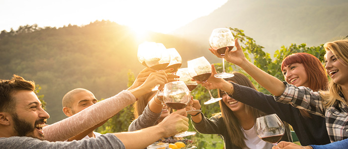 Accessoires vin et oenologie, idées cadeau vin